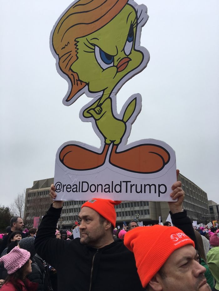 3 Great Banners Seen At Women's March On Washington
