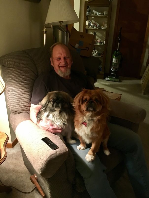 My Dad Said He Would Never Get A Male Dog. Here He Is With Two Of Them.