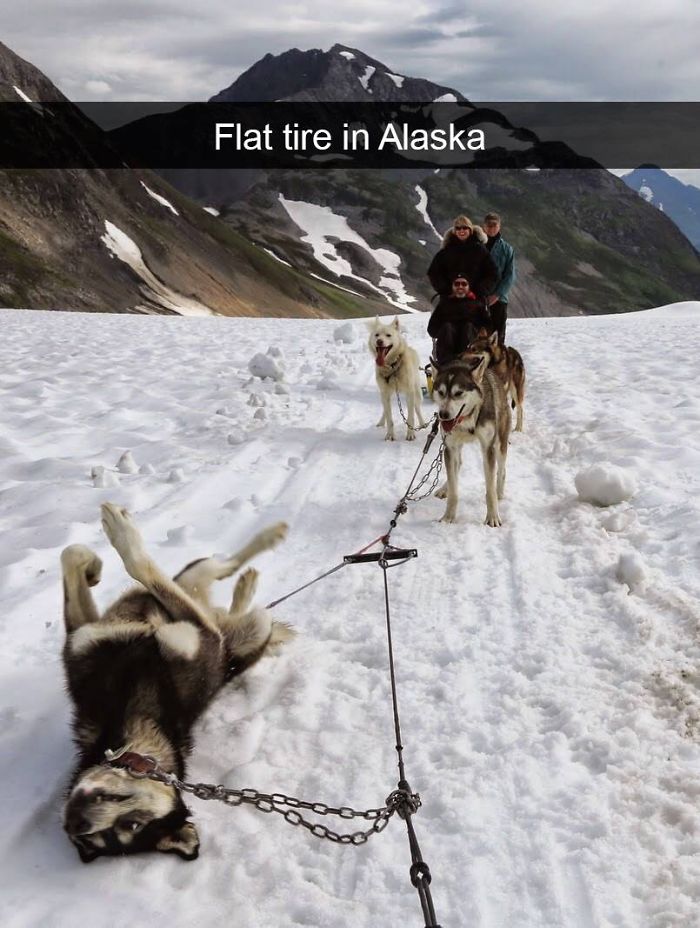 Flat Tire In Alaska
