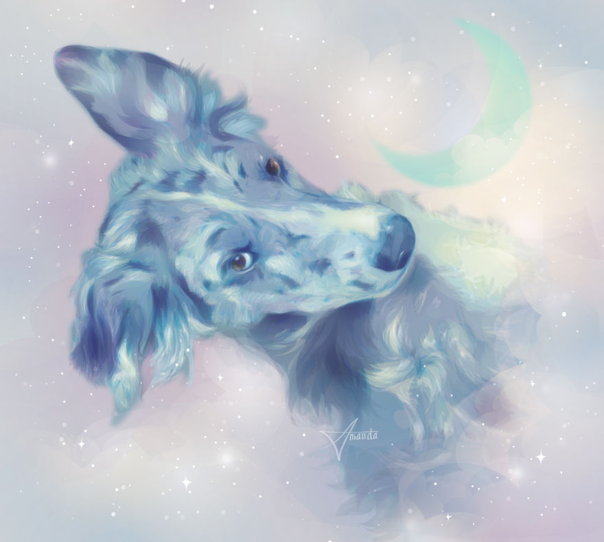 I Draw Digital Pet Portraits That Are Out Of This World