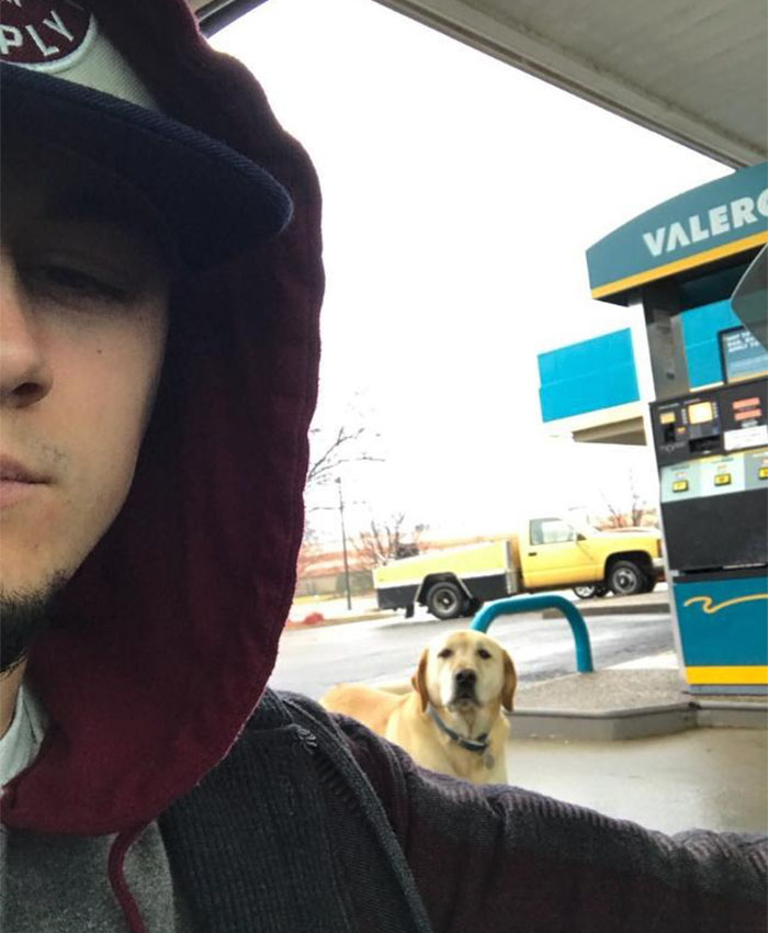 Man Finds A 'Lost' Dog, Tries To Help Until He Reads The ID Tag