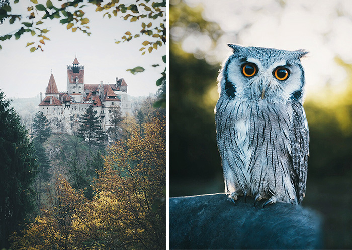 My Landscape & Animal Shots Will Make You Want To Drop Everything And Travel To All These Beautiful Places!