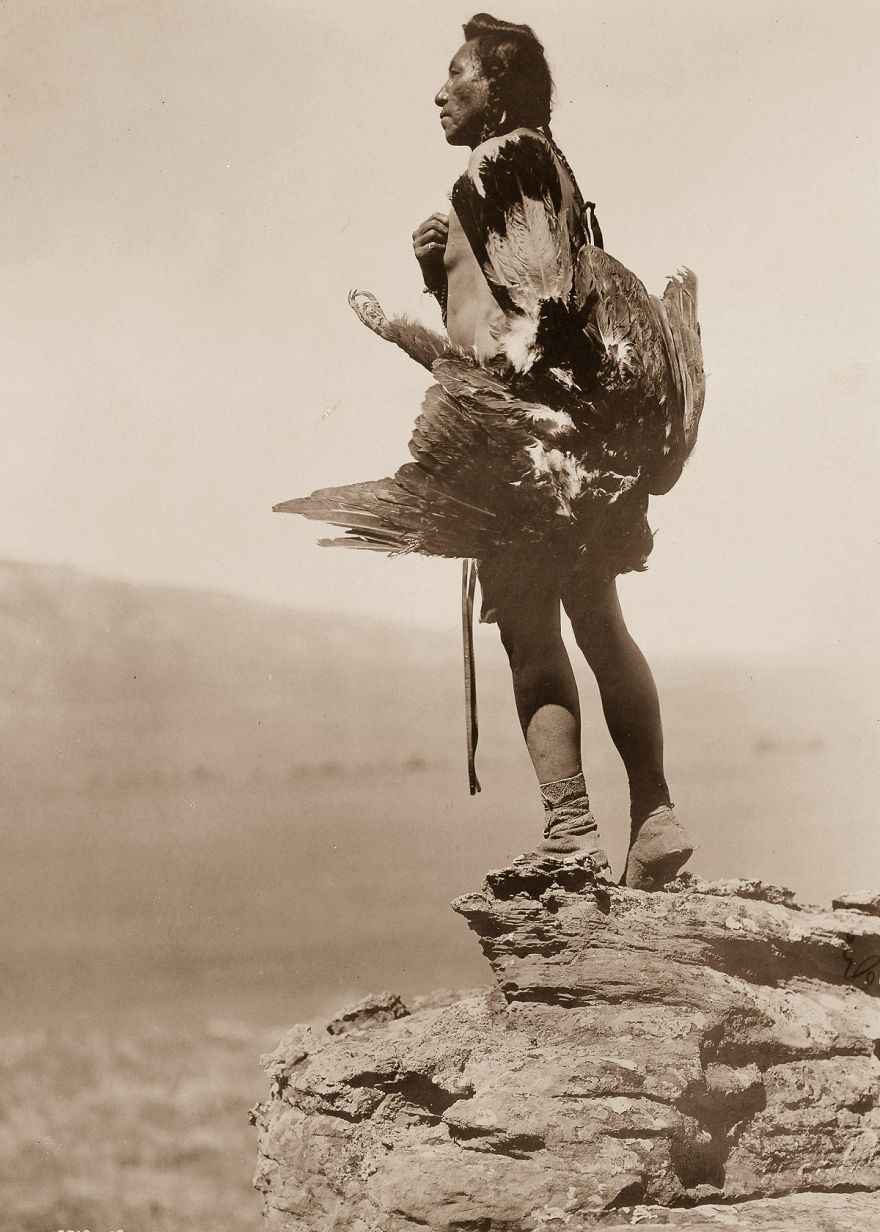 A Hidatsa Man With A Captured Eagle, 1908