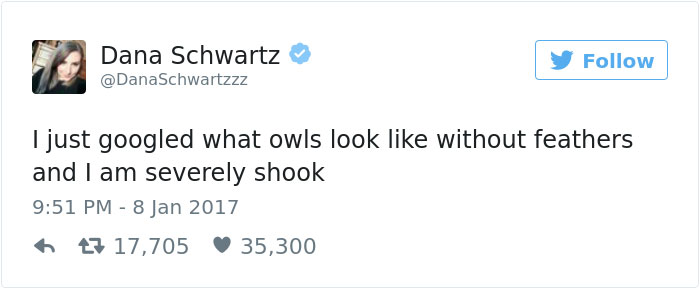 People Can't Get Over This Photo Of A 'Naked' Owl Which Shows How They Look Without The Feathers
