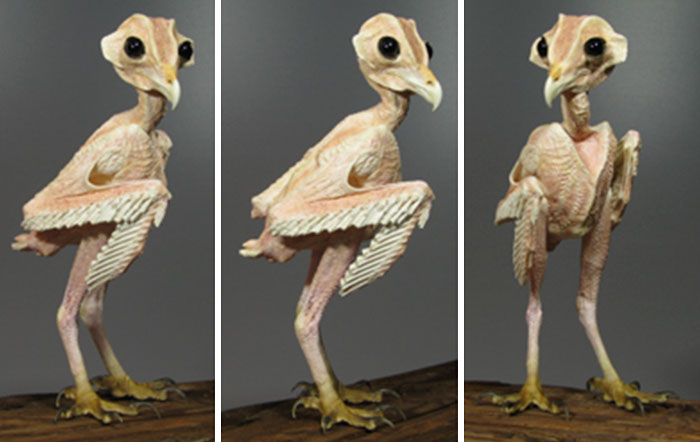 People Can't Get Over This Photo Of A 'Naked' Owl Which Shows How They Look Without The Feathers