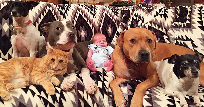 pets-family-friend-newborn-baby-sonny-2