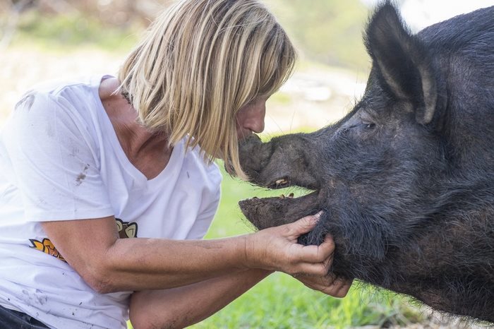 After Spending 12 Years In A Tiny Stall, This Pig Finally Found Someone Who Loves Her