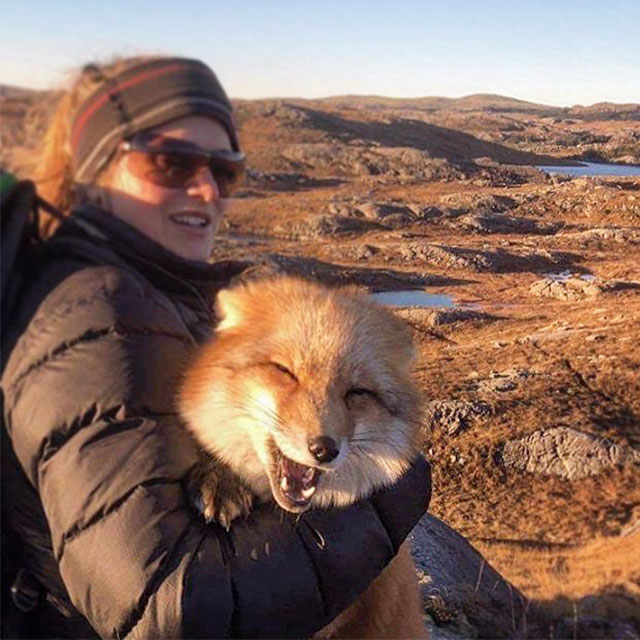 Ayla The Fox Was Rescued From A Fur Farm And Was Given A Second Chance At Life