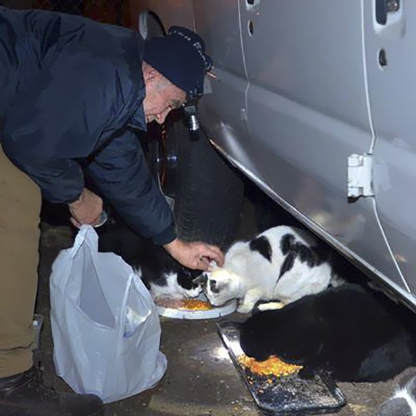 For 22 Years, This Scrap Metal Worker Has Been Feeding Neighboring Cats, Never Missed A Day