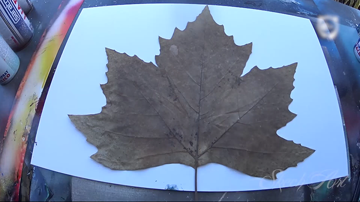 Spray Painting Planets On A Leaf