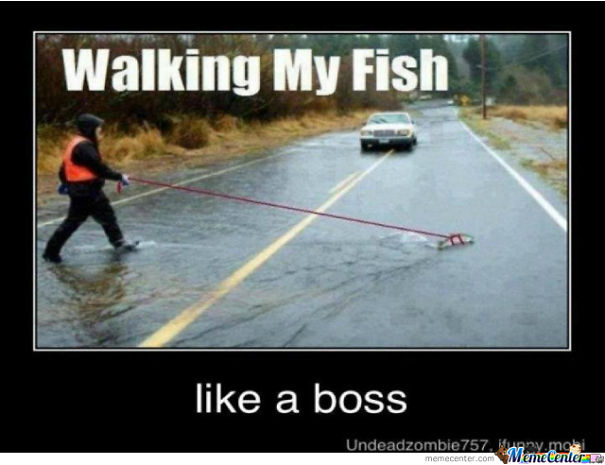 walking-my-fish-like-a-boss_o_1885275.jpg
