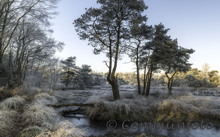 Winter Landscape In Holland