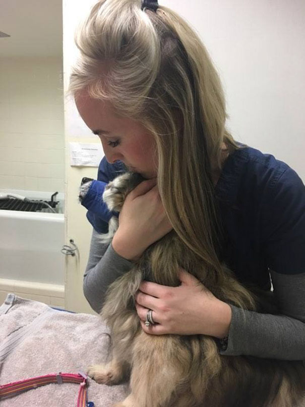 When She Saw This Sad Dog's Photo On Facebook, This Woman Dropped Everything To Save Him