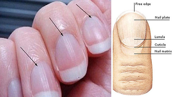 This Is What The Half Moon Shape On Your Nails Mean This Is What The Half Moon Shape On Your Nails Mean