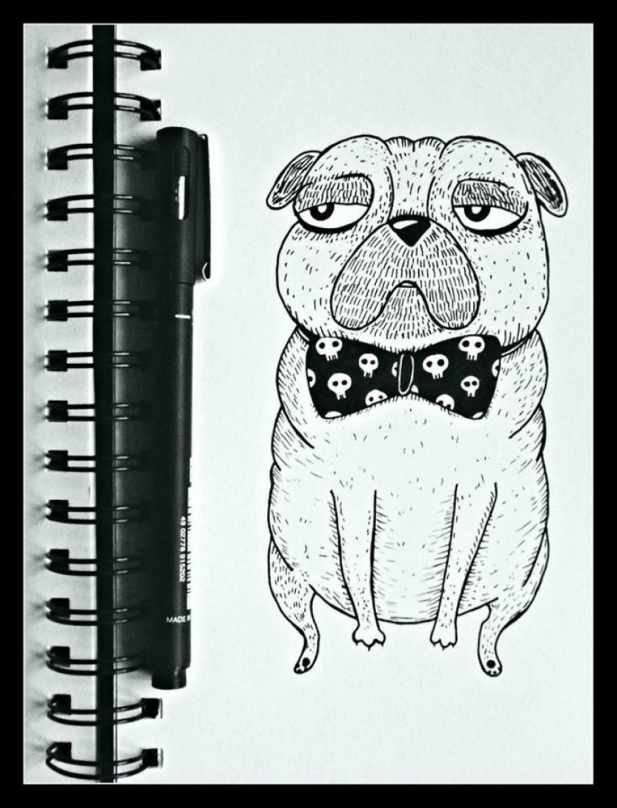 My Sketches And Illustrations