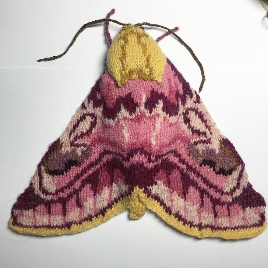 Max Alexander Knits Moths And The Results Are Simply Spectacular