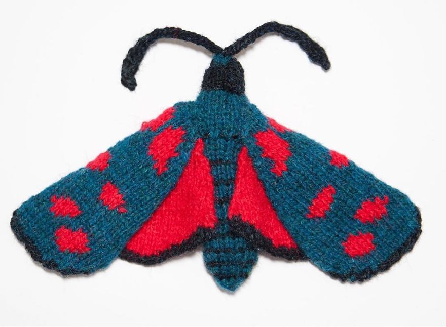Max Alexander Knits Moths And The Results Are Simply Spectacular