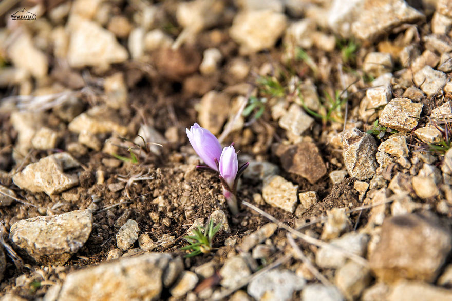 Spring Is Comming