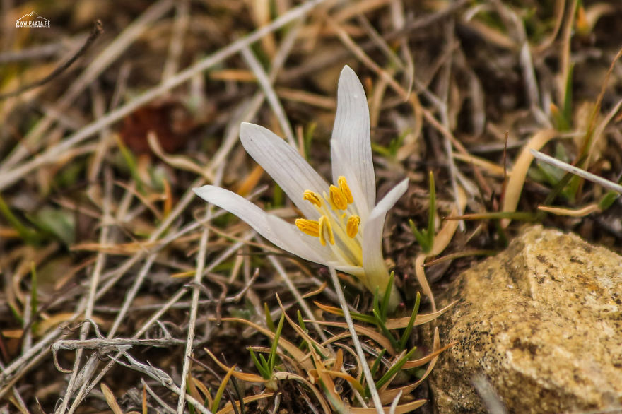 Spring Is Comming