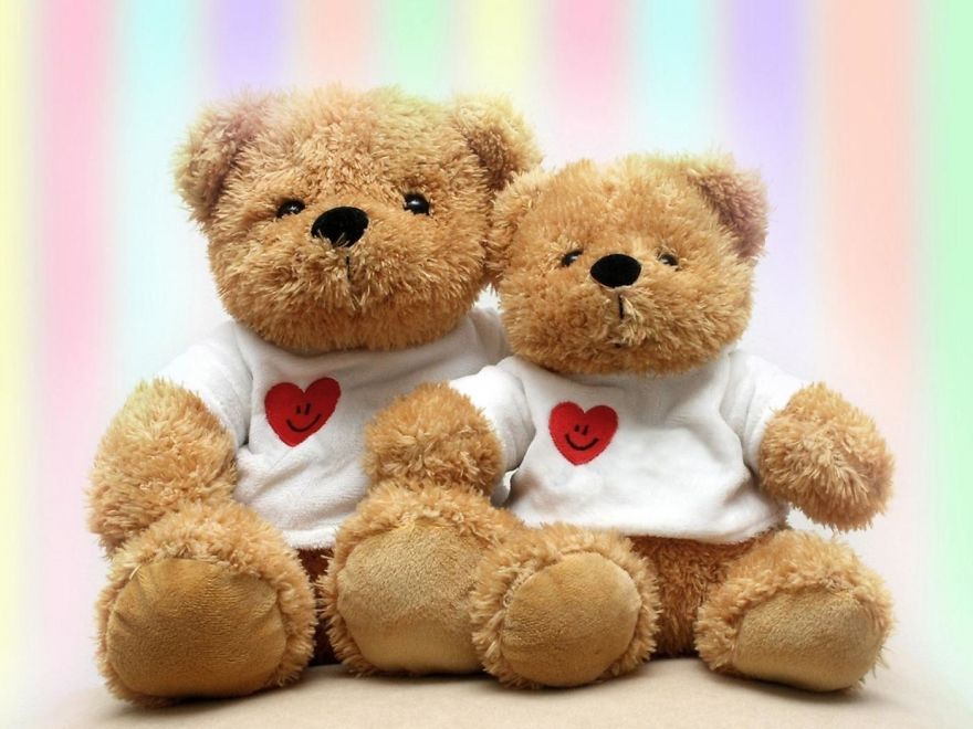 Teddy Day Teddy Day