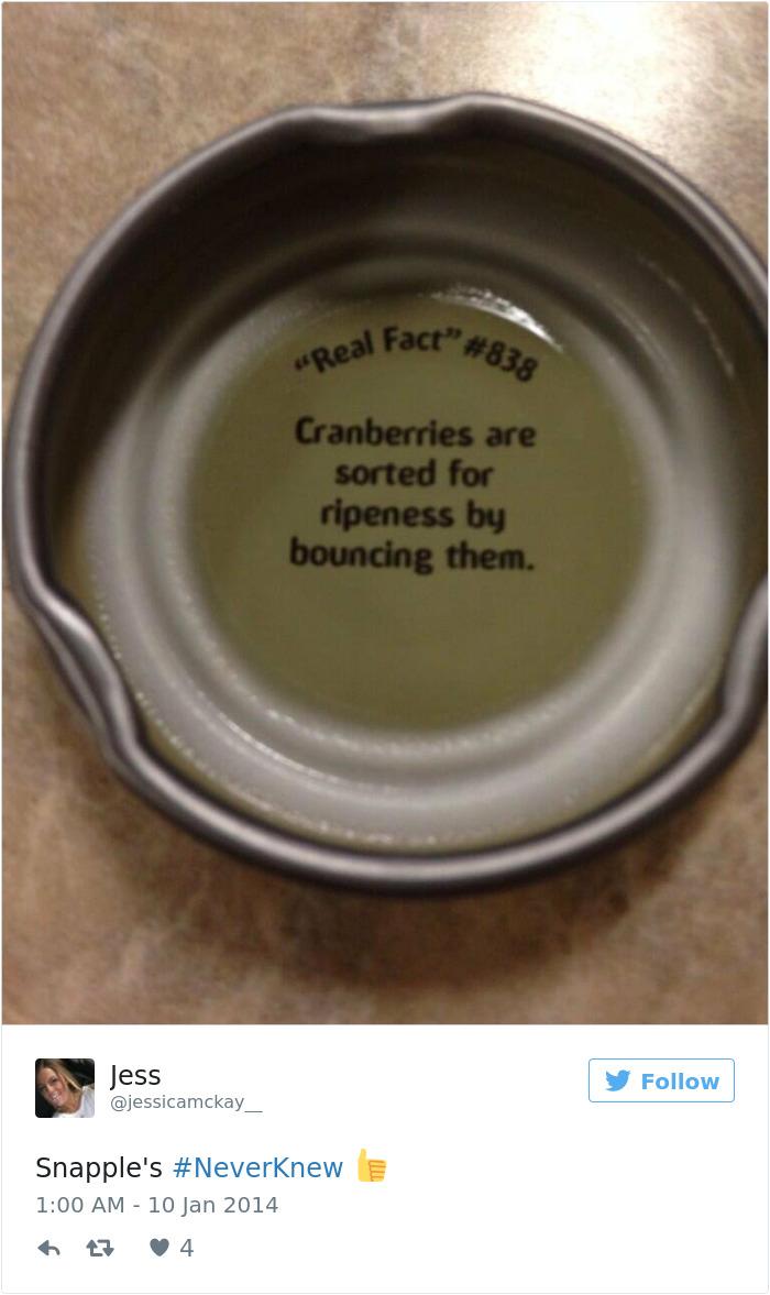 Apparently, You Can Tell If A Cranberry Is Ripe By Bouncing It