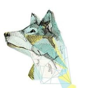 trunghoang_fb avatar