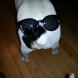 rebecca_kruck-austin avatar