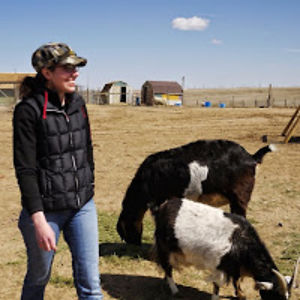 allisonjaynes avatar