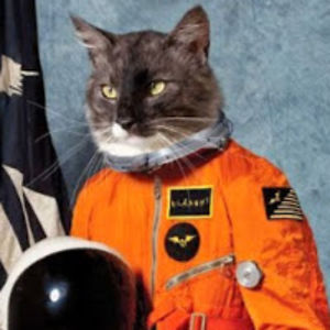 grazielalindahl avatar