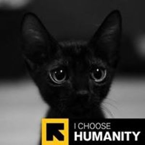 johnny_console avatar