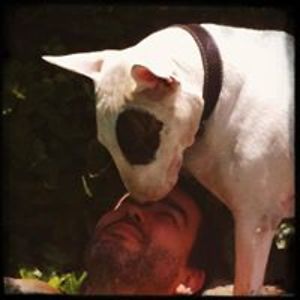 gerhardboa666 avatar