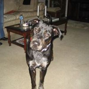 marvanderson55 avatar