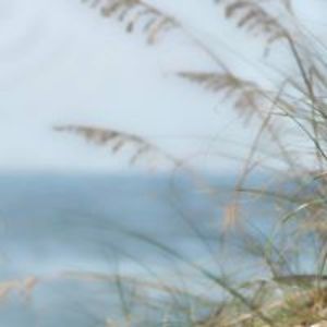 dianepeacekendal avatar