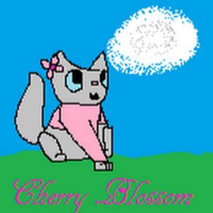 cherryblossom avatar