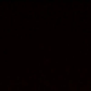 brookefiddian avatar