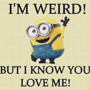 blueangelbird avatar