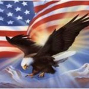 dnnlnmacdonald avatar