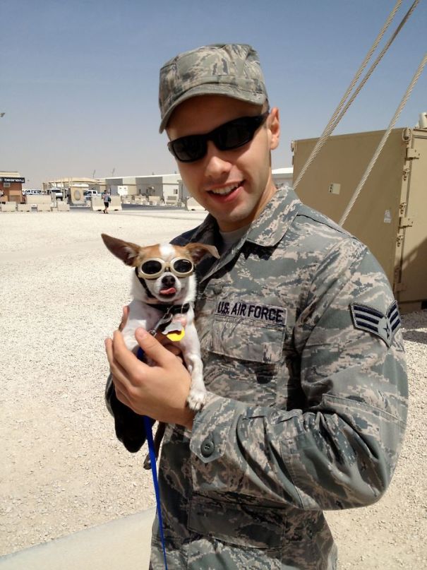 My Coworker With A New Military Attack Dog