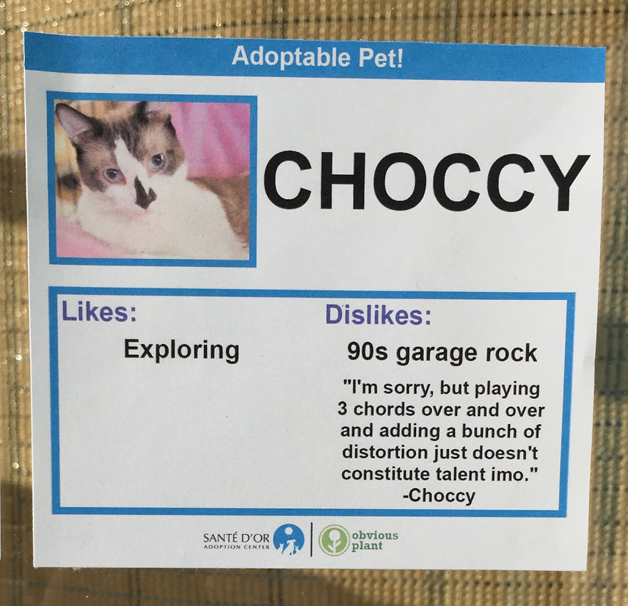 Choccy