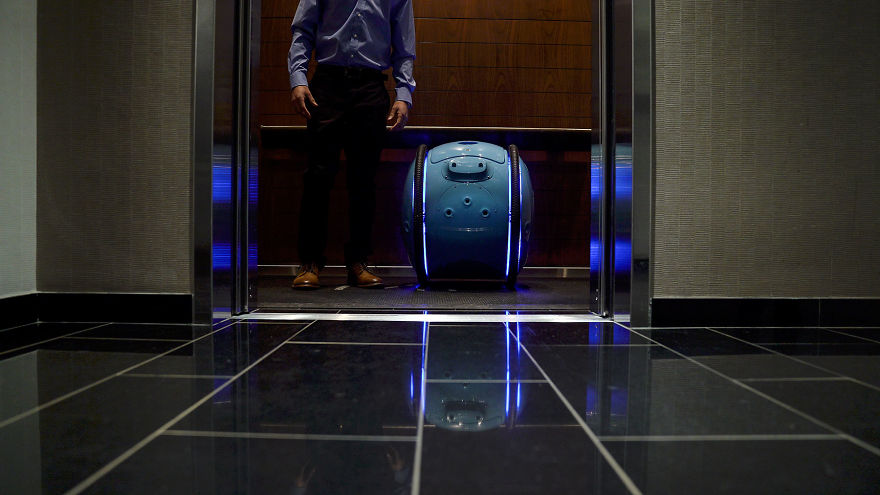 This Robot Follows You Around Carrying All Your Stuff
