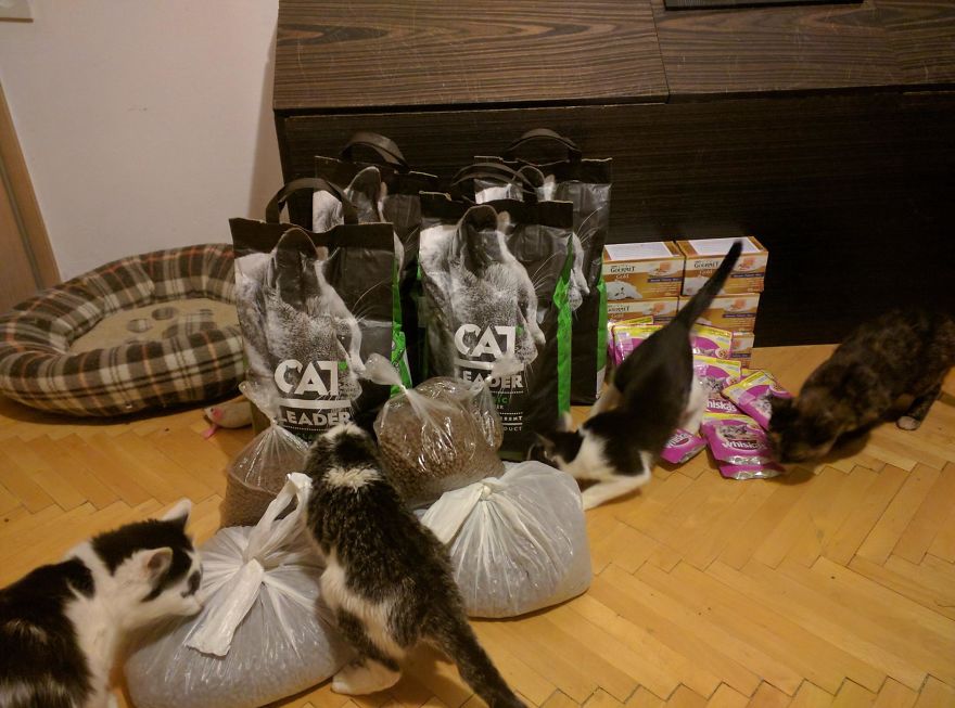 10+ Pictures That Will Show You The Variety Of Animal Shelters Around The World 10+ Pictures That Will Show You The Variety Of Animal Shelters Around The World
