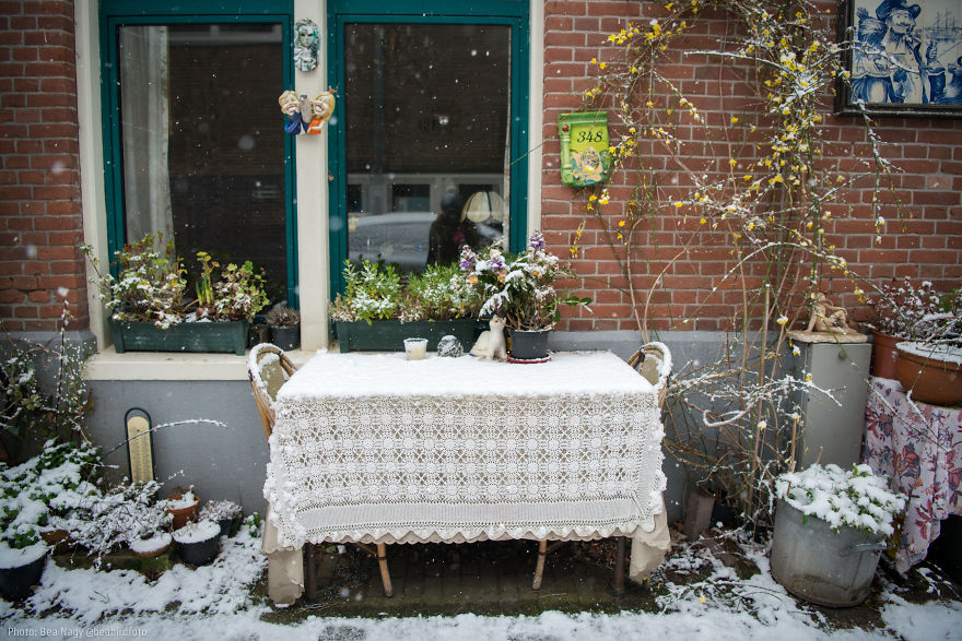 I Photographed Amsterdam Looking Like A Fairy Tale After A Snowfall