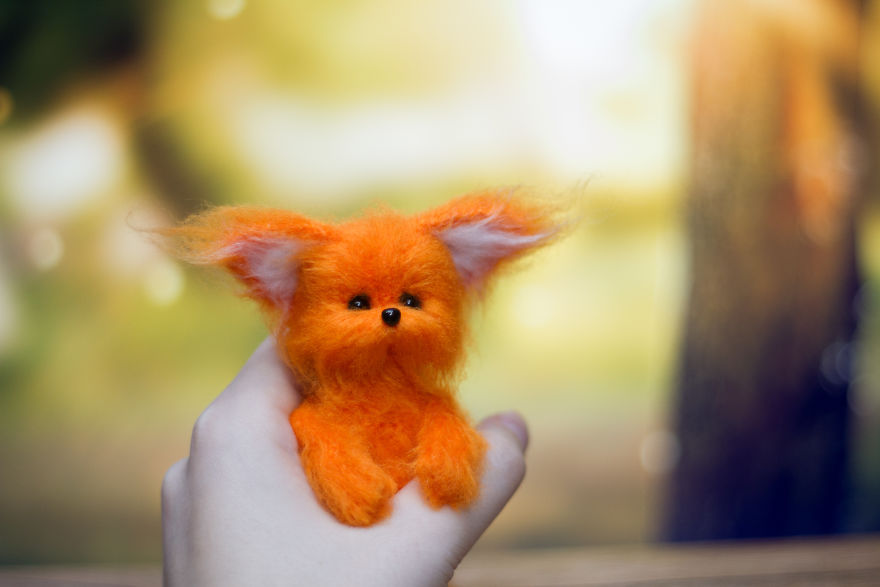 Cute Little Fox )