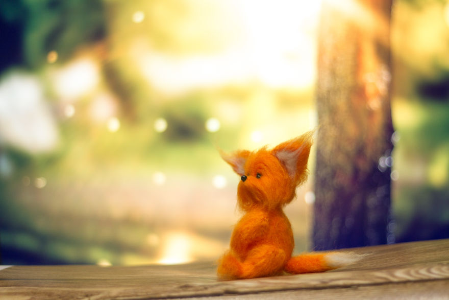 Cute Little Fox )