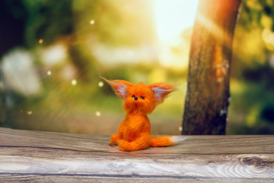 Cute Little Fox )