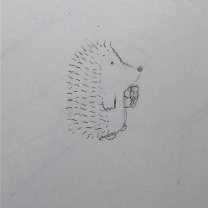 10 Adorable Hedgehog Pencil Drawings