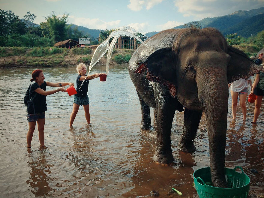 Volunteering At Elephant Shelters Became Our New Way Of Travelling