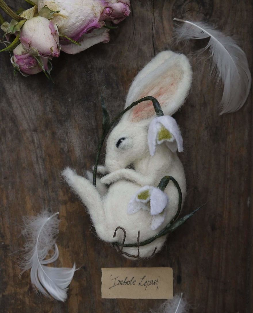 'imbolc Lepus' The Hare That Dreams Away The Quiet Hours Amongst The Silence Of Snowdrops. 'imbolc Lepus' The Hare That Dreams Away The Quiet Hours Amongst The Silence Of Snowdrops.