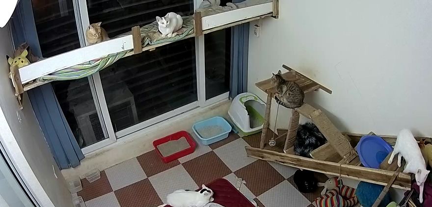 10+ Pictures That Will Show You The Variety Of Animal Shelters Around The World 10+ Pictures That Will Show You The Variety Of Animal Shelters Around The World