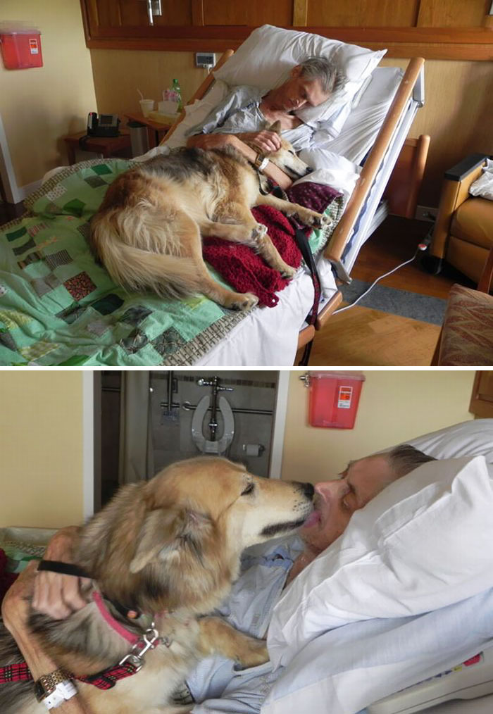 A Dying Homeless Man’s Last Wish Was To See His Dog One More Time